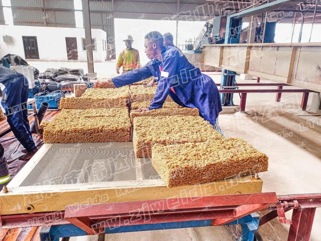 ကိုတေဒီဗွား TSR10 သဘာဝရော်ဘာ တန်ချိန် ၄၃,၂၀၀ ထုတ်လုပ်မှုလိုင်း 2