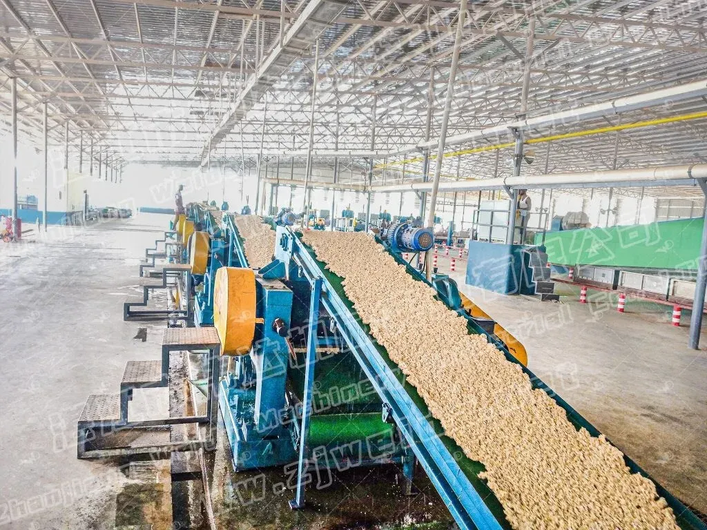 ကိုတေဒီဗွား TSR10 သဘာဝရော်ဘာ တန်ချိန် ၄၃,၂၀၀ ထုတ်လုပ်မှုလိုင်း 3
