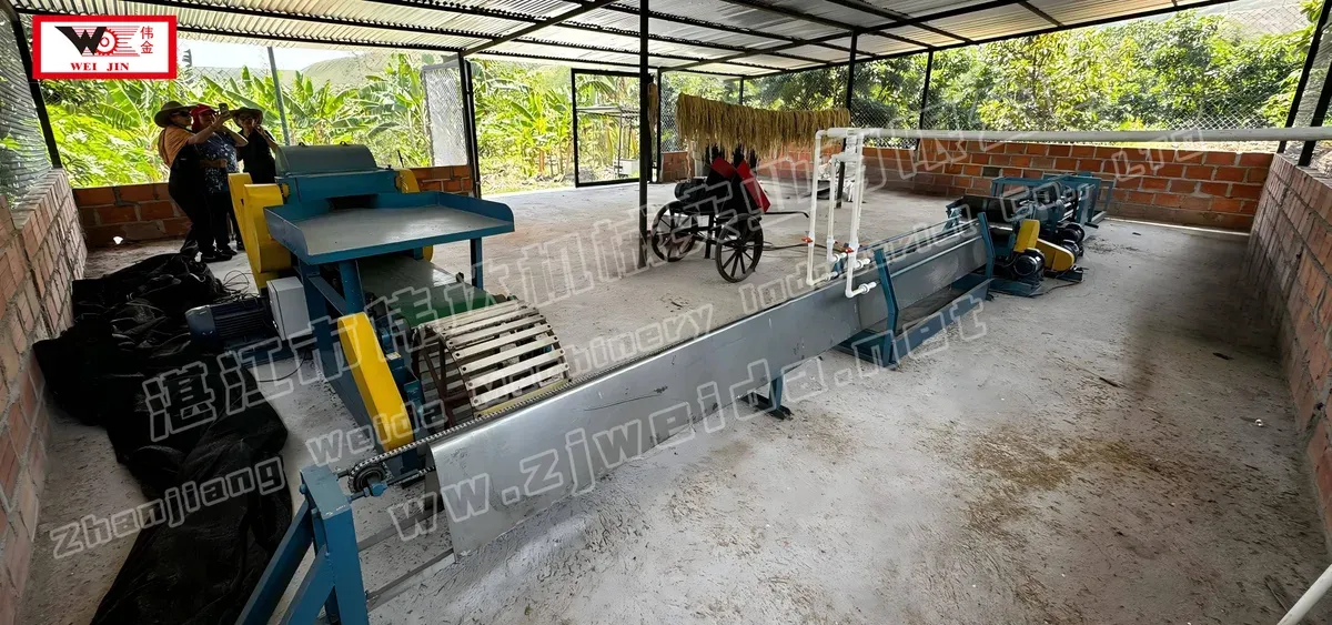 2022 Jalur produksi ekstraksi serat sisal Filipina