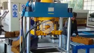 Automatic Hydraulic Rubber Packing Machine Running On Site Video