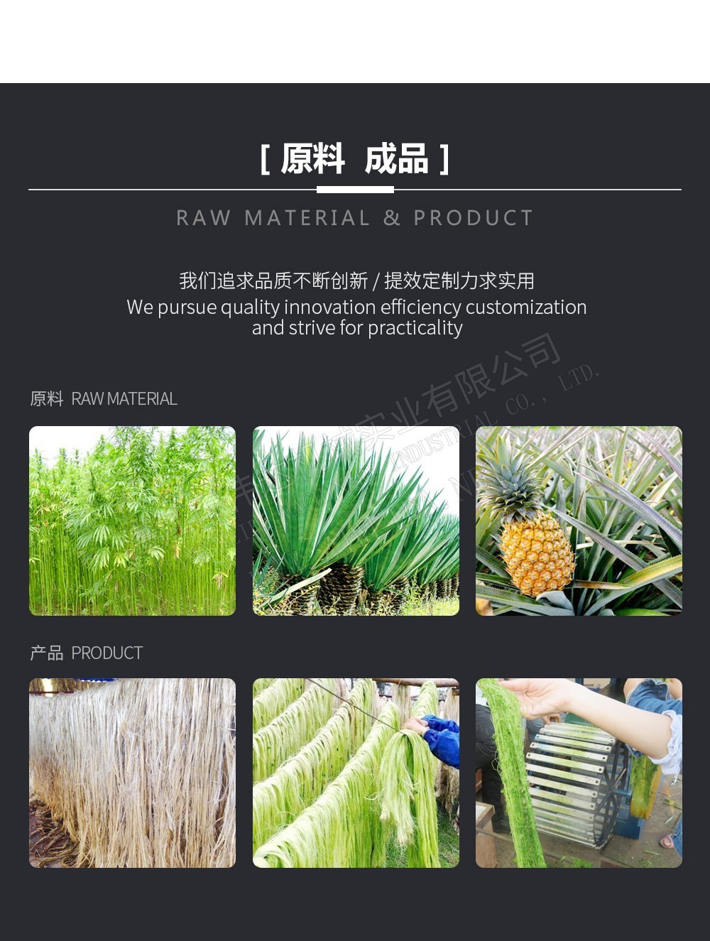 TSR Natural Rubber Processing Machinery
