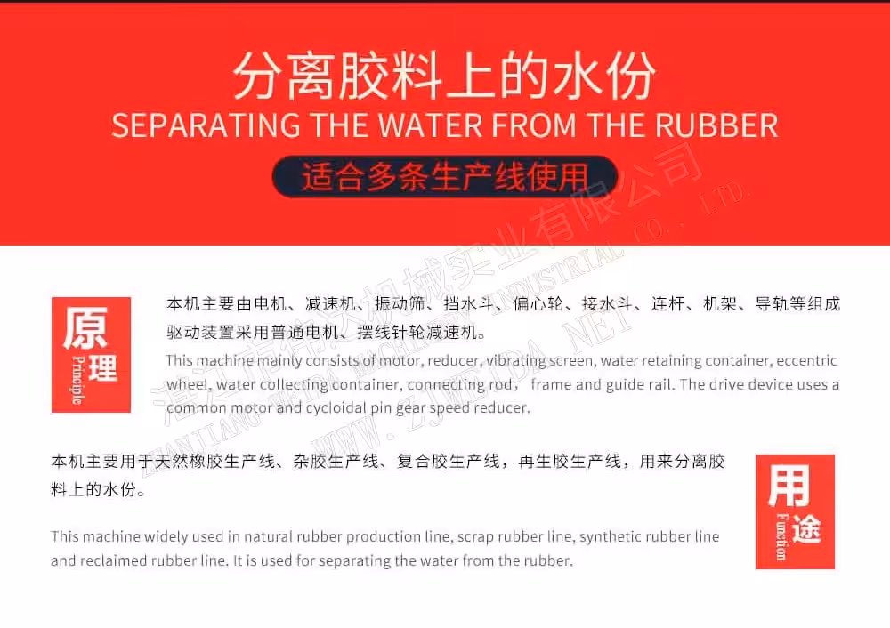 Détail illustration 2