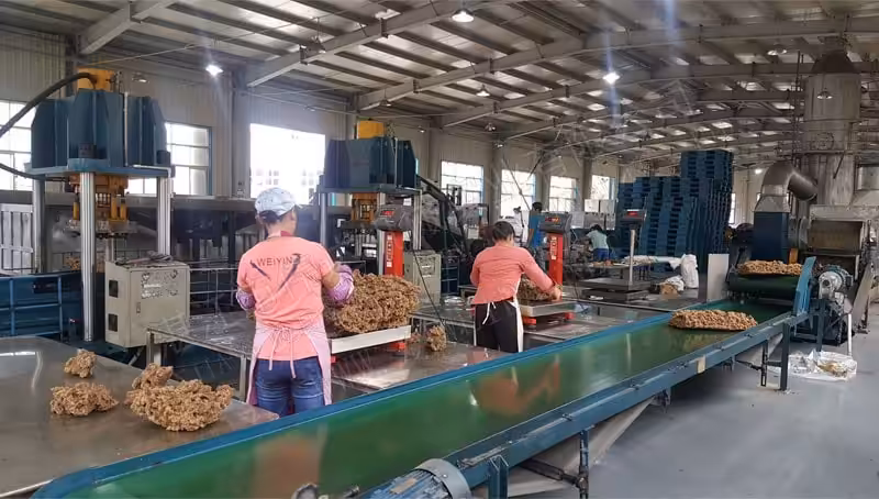 TSR Natural Rubber Processing Machinery