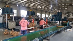 Yunnancasets 湛江市伟达机械实业有限公司 tsr natural rubber processing machinery TSR Natural Rubber Processing Machinery