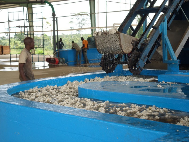 TSR Natural Rubber Processing Machinery