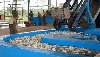 TSR Natural Rubber Processing Machinery