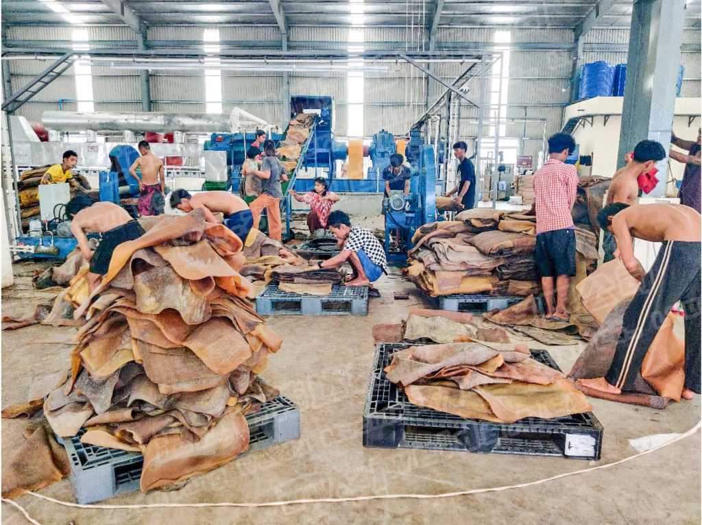 TSR Natural Rubber Processing Machinery